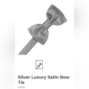 Silver Chrome Steel Wedding Prom Tuxedo Pre Tied clip on Bow tie bowtie